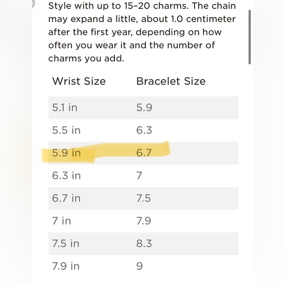 Pandora Bracelet - Picture 5 of 5